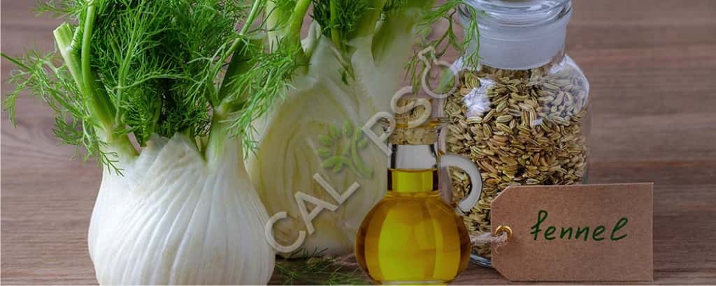 Aceite de especias de hinojo